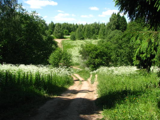 VFL.RU - ваш фотохостинг VFL.RU - ваш фотохостинг