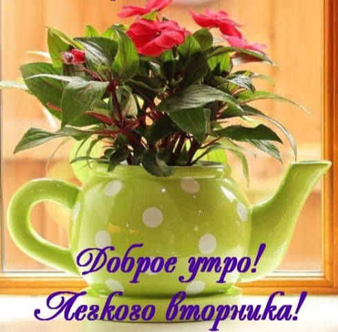 Чайная беседка