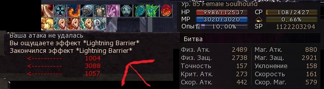 24370975.jpg