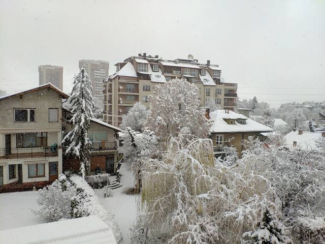 Публикувано изображение