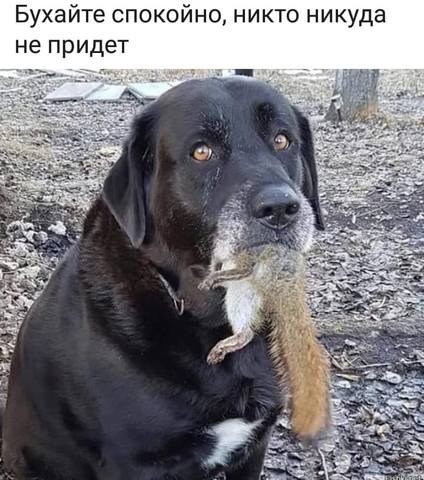 бухайте