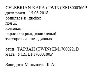 CELEBRIAN KAPA анк Kristinarai