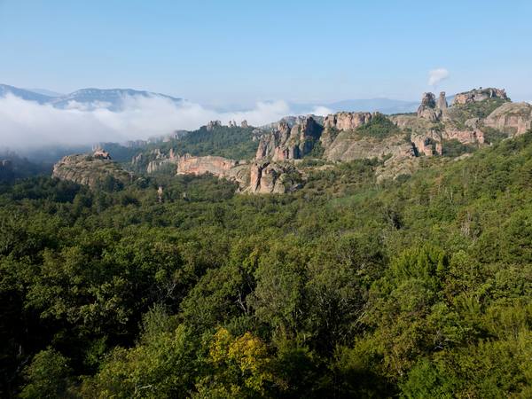 Публикувано изображение