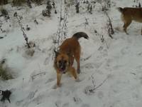 VFL.RU - ваш фотохостинг