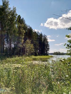 VFL.RU - ваш фотохостинг VFL.RU - ваш фотохостинг
