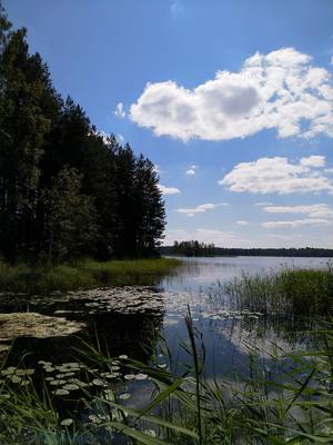VFL.RU - ваш фотохостинг VFL.RU - ваш фотохостинг