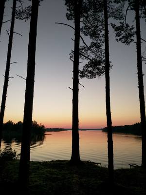 VFL.RU - ваш фотохостинг VFL.RU - ваш фотохостинг