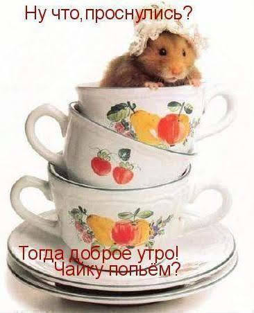 Чайная беседка