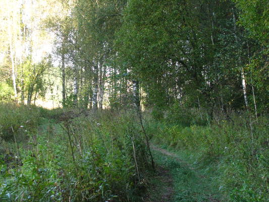 VFL.RU - ваш фотохостинг VFL.RU - ваш фотохостинг