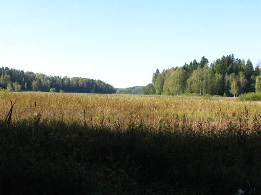 VFL.RU - ваш фотохостинг VFL.RU - ваш фотохостинг