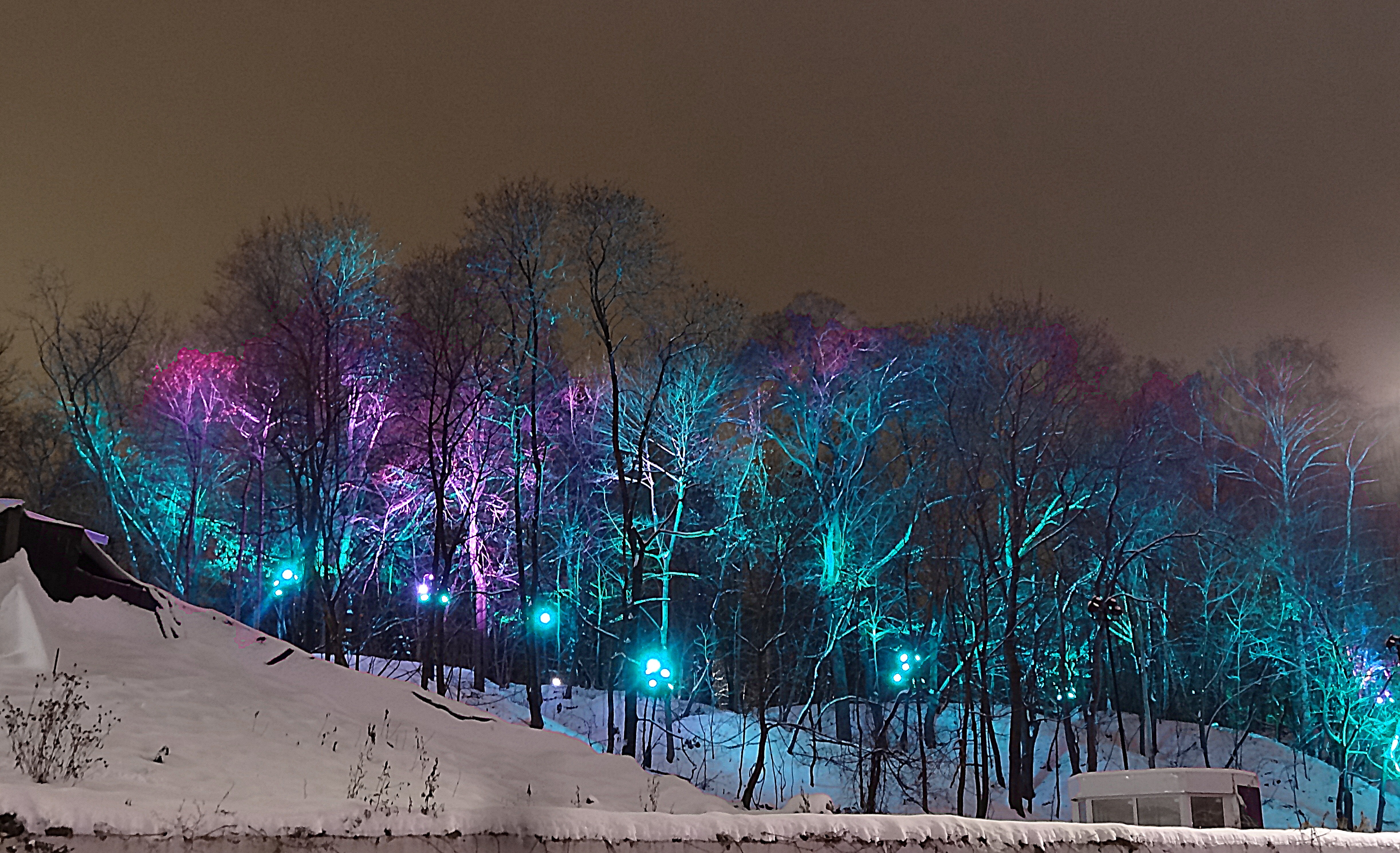Разноцветная подсветка леса на Воробьёвых горах. Фото Морошкина В.В.