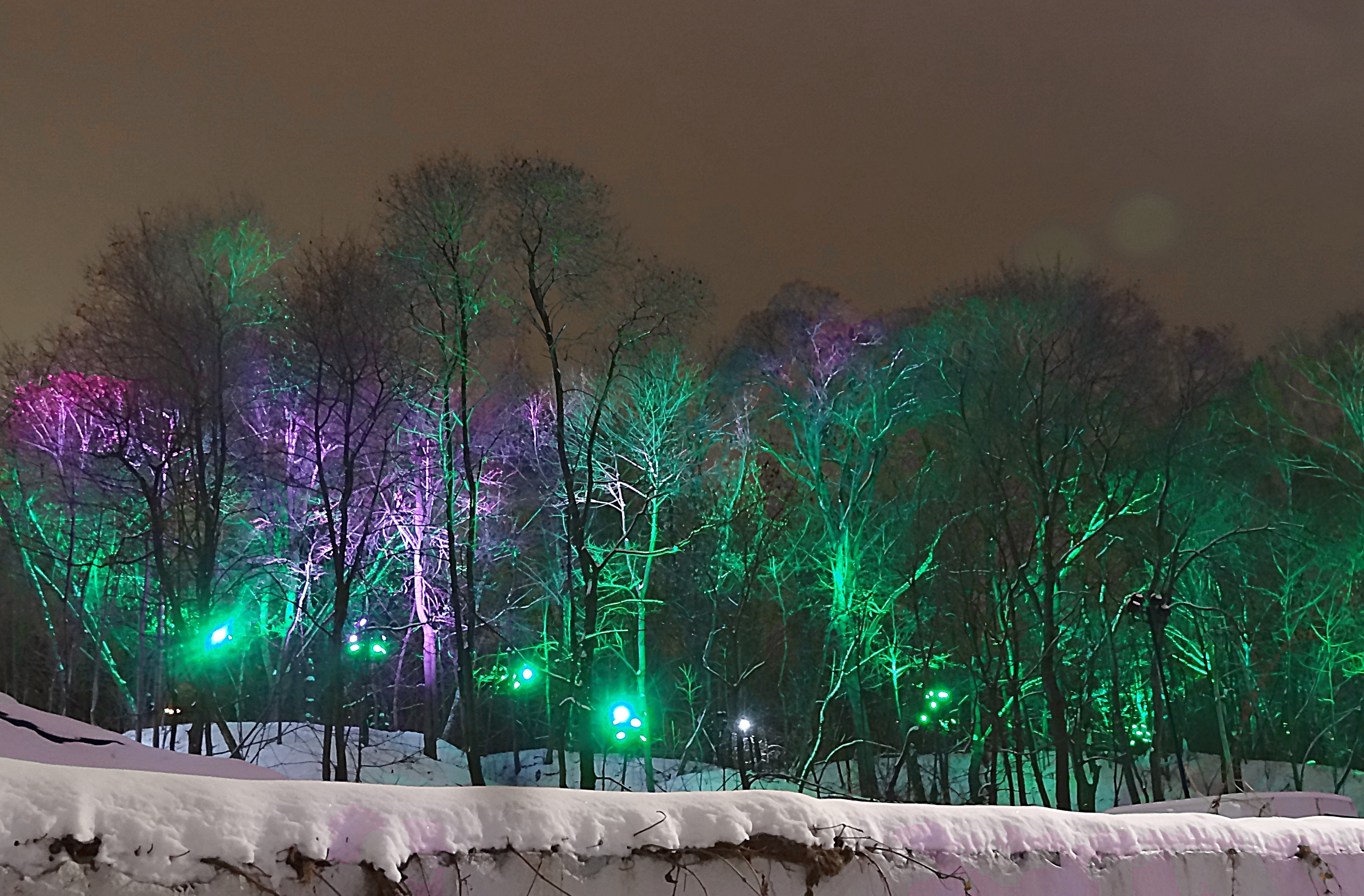 Разноцветная подсветка леса на Воробьёвых горах. Фото Морощкина В.В.