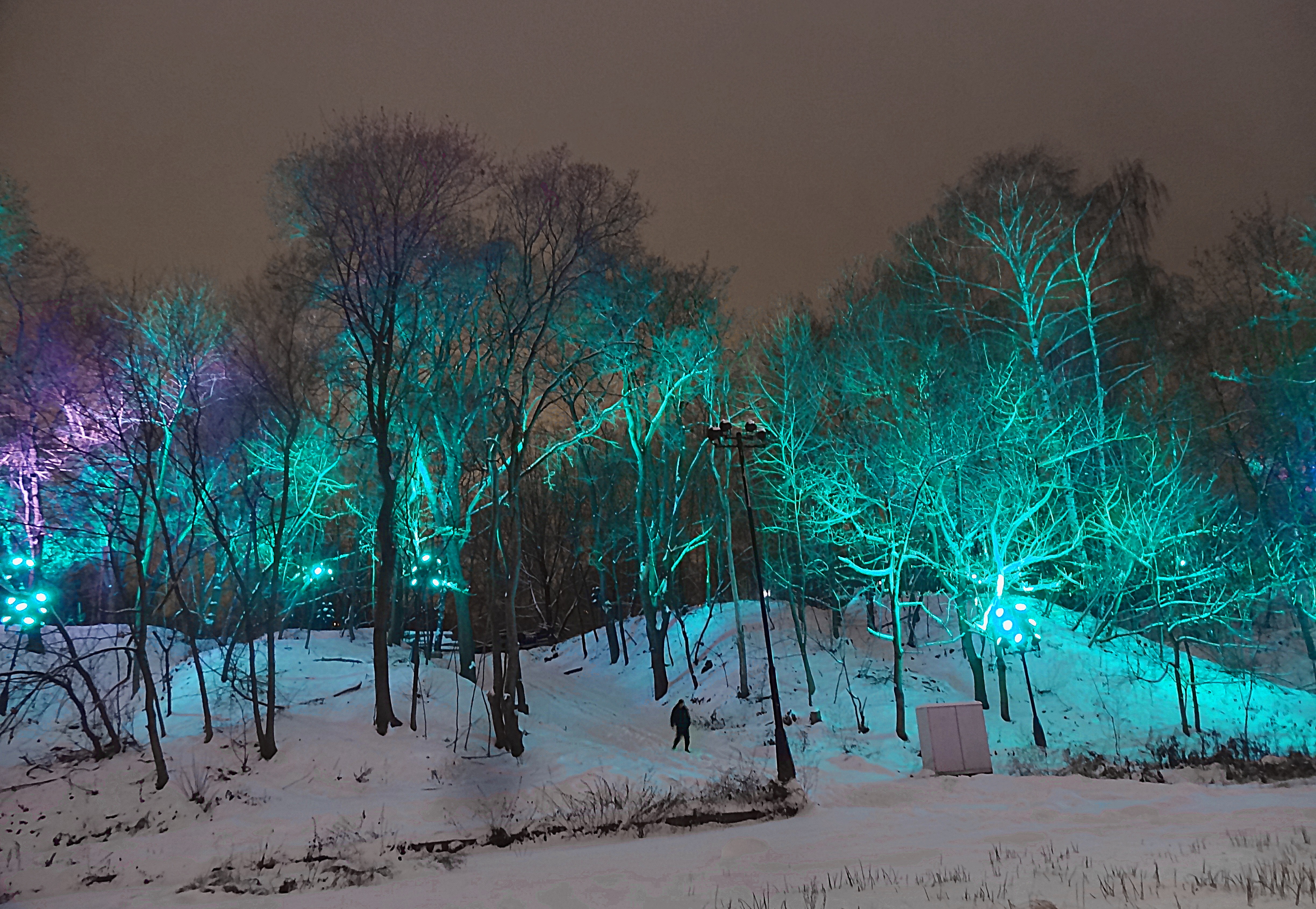 Подсветка леса на Воробьёвых горах. Фото Морошкина В.В.