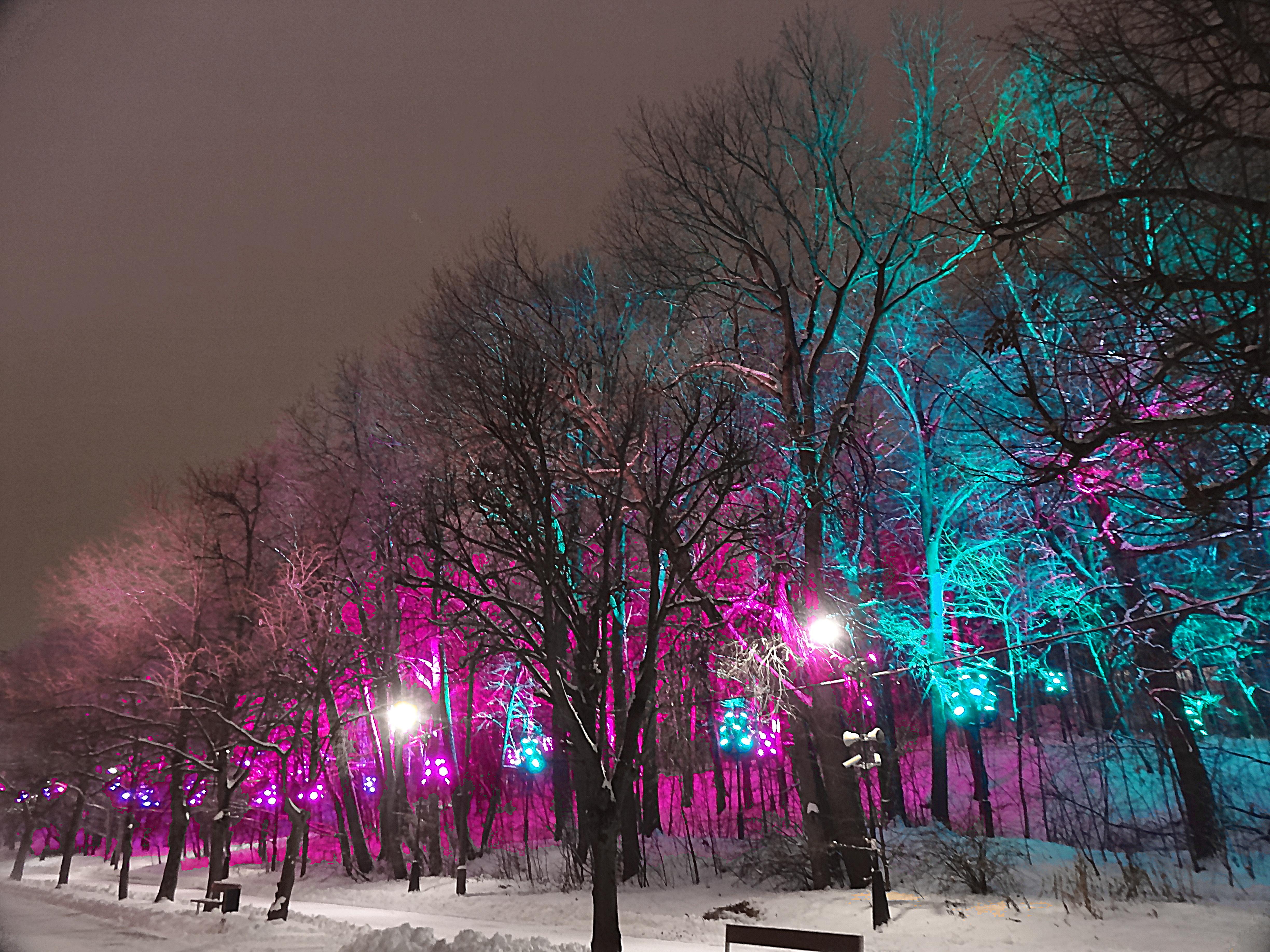 Аллея с подсветкой деревьев. Фото Морошкина В.В.