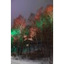 Разноцветная подсветка деревьев. Фото Морошкина В.В.
