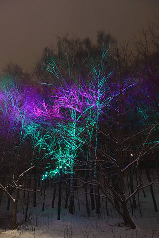 Разноцвеная подсветка деревьев. Фото Морошкина В.В.