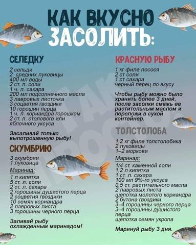 Ищу рецепт на нашем форуме