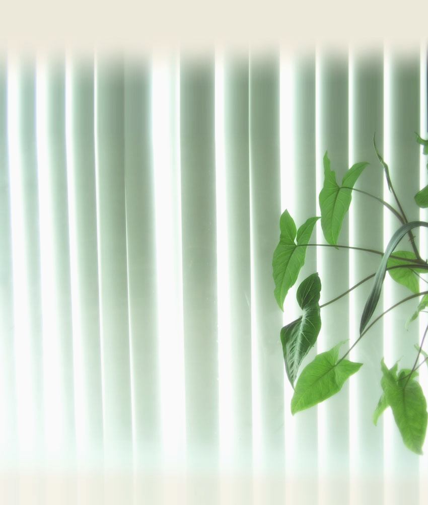 Зелёные листья, мой фон. © GenuineLera, 2000