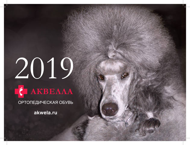 Akvela 2019 297х220 photo 00