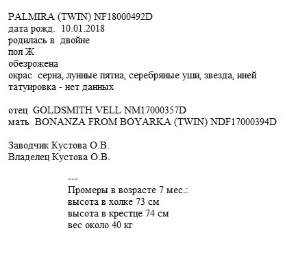 PALMIRA анк Бонанза