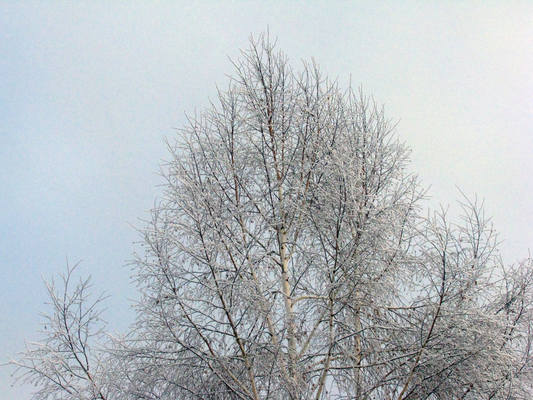 VFL.RU - ваш фотохостинг VFL.RU - ваш фотохостинг
