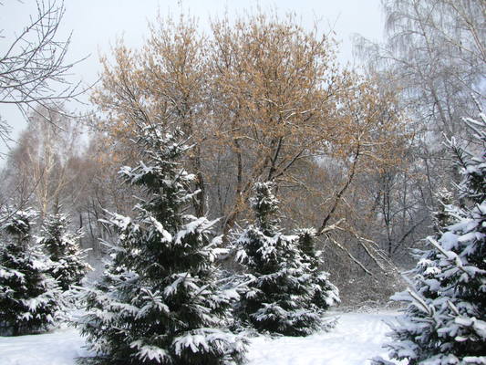 VFL.RU - ваш фотохостинг VFL.RU - ваш фотохостинг