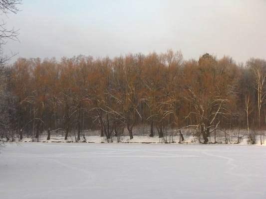 VFL.RU - ваш фотохостинг VFL.RU - ваш фотохостинг