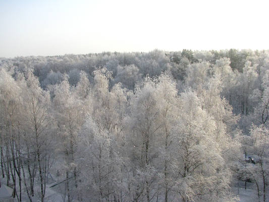 VFL.RU - ваш фотохостинг VFL.RU - ваш фотохостинг