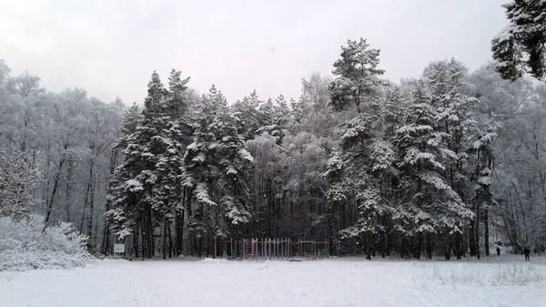 VFL.RU - ваш фотохостинг VFL.RU - ваш фотохостинг