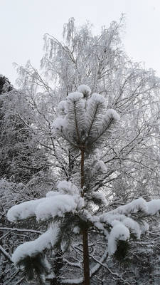 VFL.RU - ваш фотохостинг VFL.RU - ваш фотохостинг