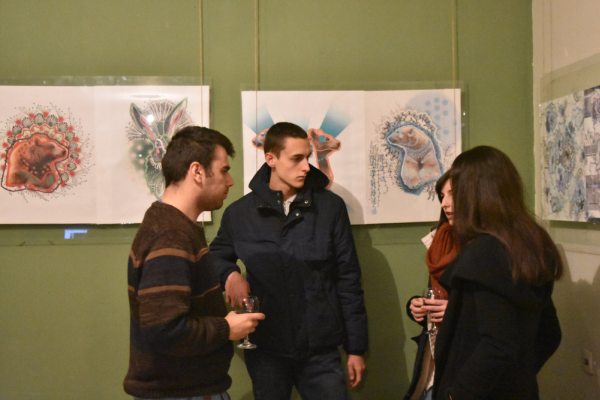 Сербия, Косово, Косовская Каменица, выставка