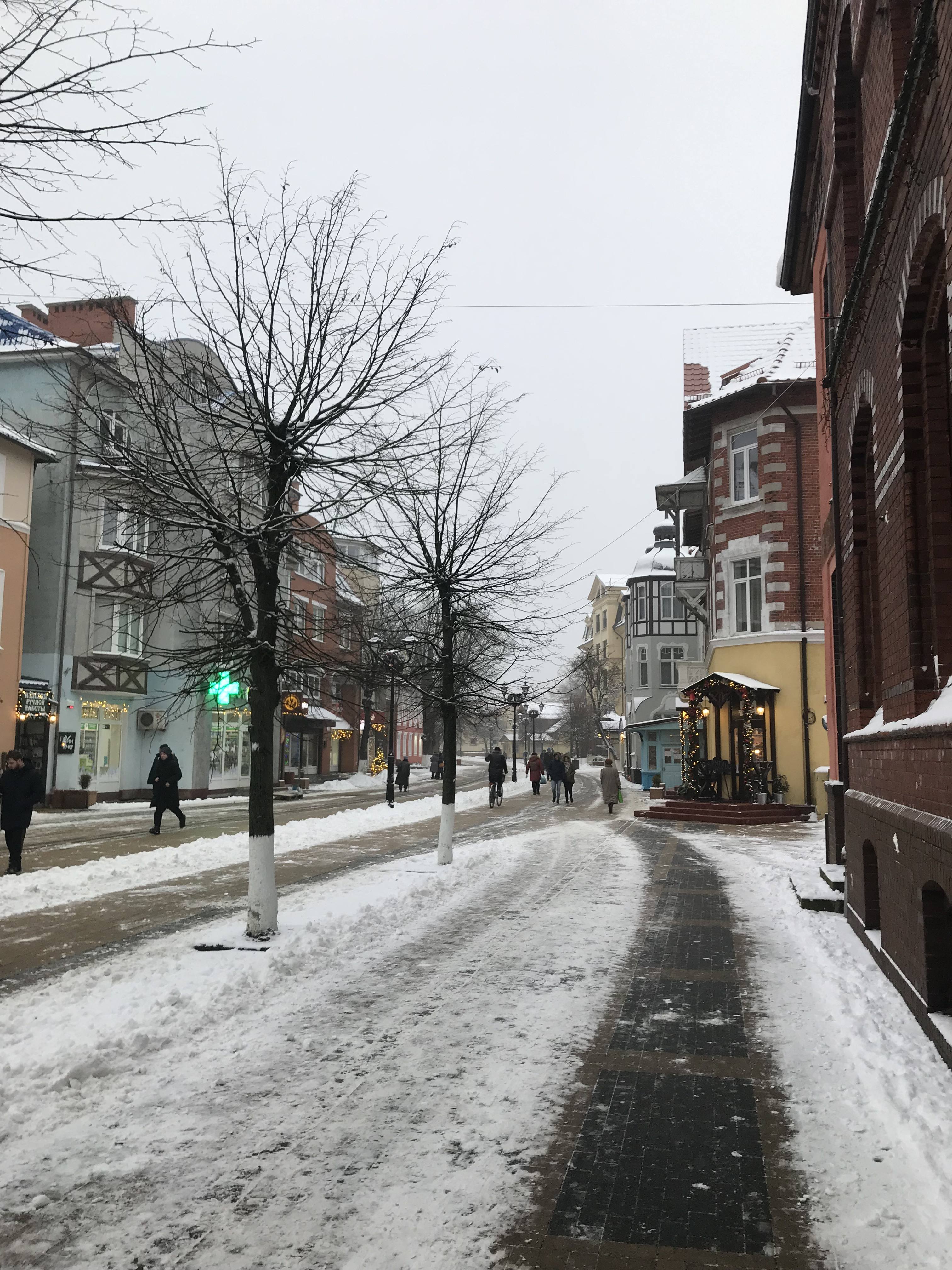 Калининград и Калининградская область: что посмотреть