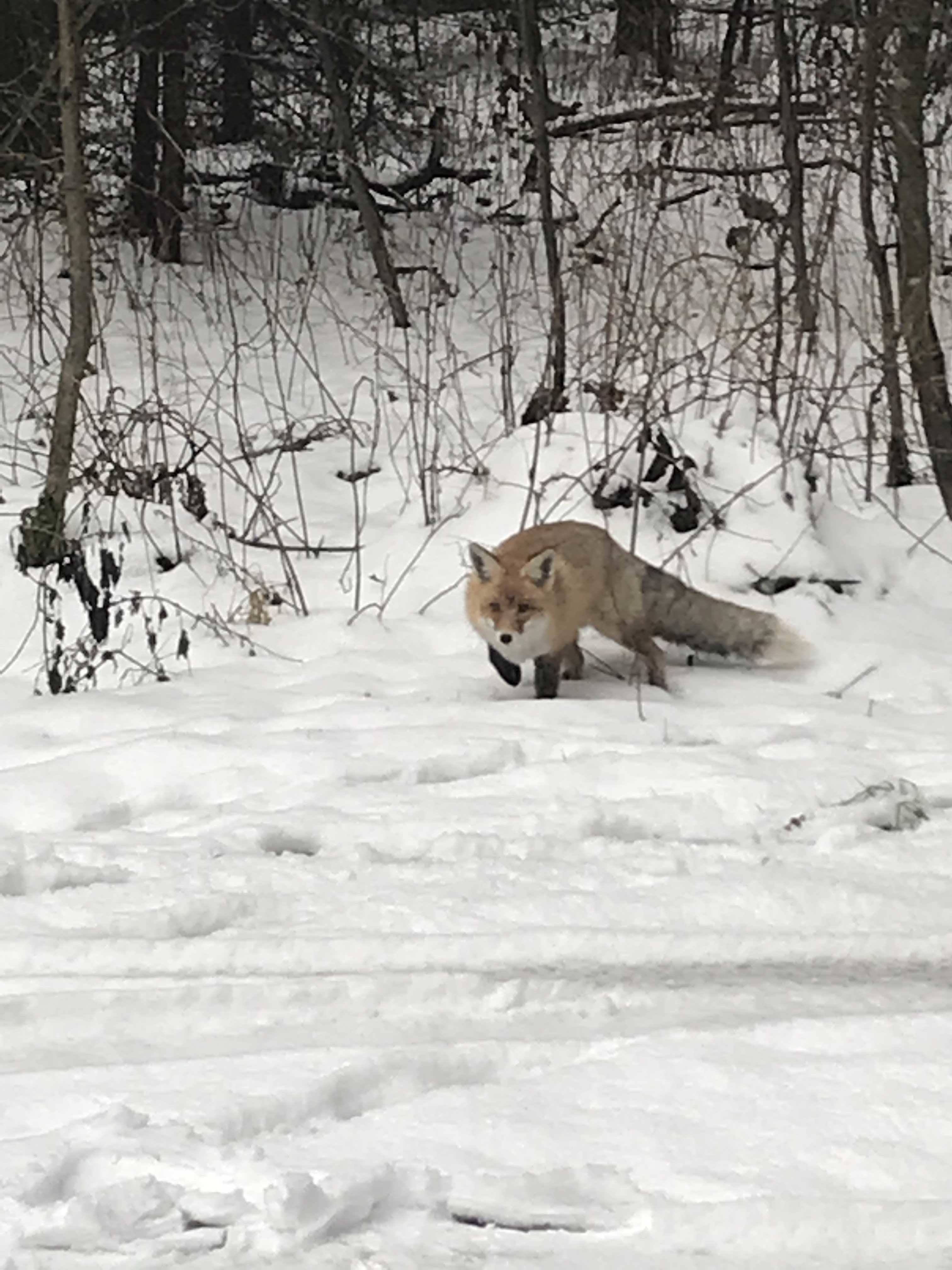Калининград и Калининградская область: что посмотреть