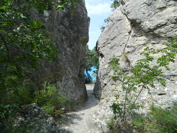 VFL.RU - ваш фотохостинг VFL.RU - ваш фотохостинг