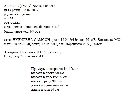 Анхель анк Ирина Валентиновна