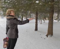 VFL.RU - ваш фотохостинг