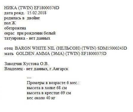 Ника анк Бонанза