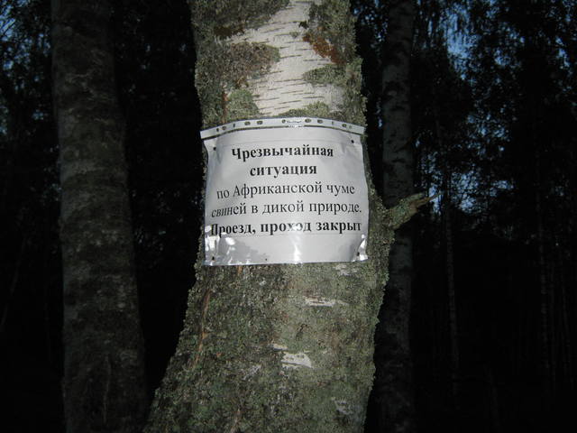 http://images.vfl.ru/ii/1545852065/bfdcbbe6/24740743_m.jpg