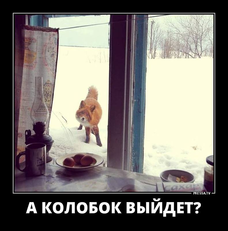 VFL.RU - ваш фотохостинг VFL.RU - ваш фотохостинг