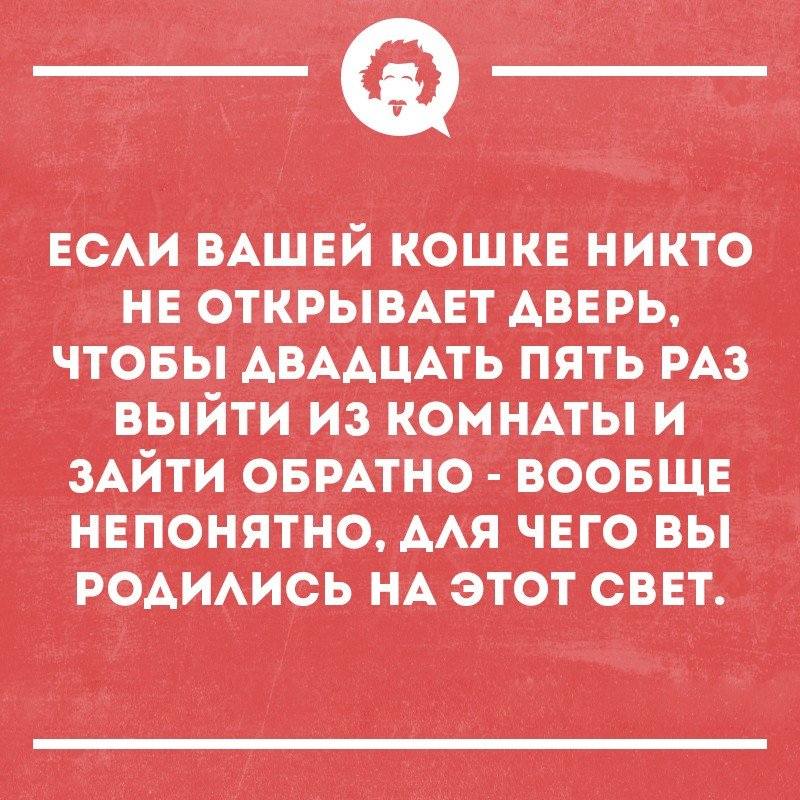 p24oENBsjWQ p24oENBsjWQ