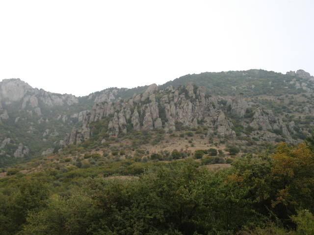 24784905.jpg