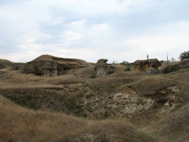 24785035.jpg