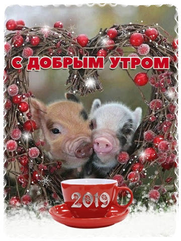 С НОВЫМ 2019 ГОДОМ!