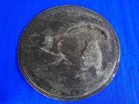 Продаётся и находится в Ульяновске. 8 905 349 8210.