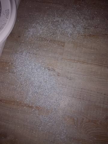 Кошки в нашей жизни. Кошки и все, что с ними связано.