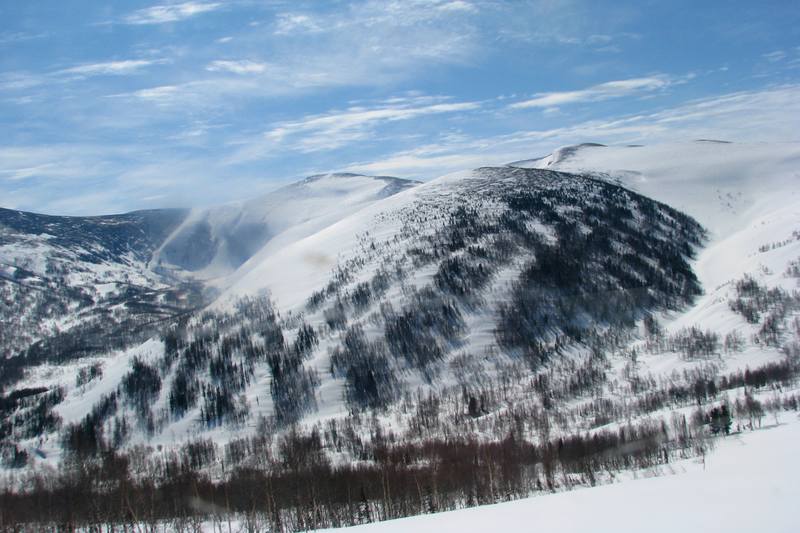 VFL.RU - ваш фотохостинг VFL.RU - ваш фотохостинг