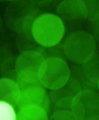 Зеленый свет-4