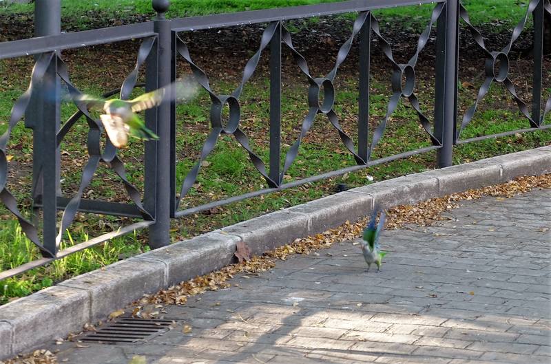 VFL.RU - ваш фотохостинг VFL.RU - ваш фотохостинг