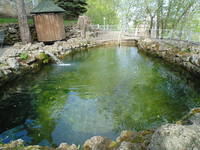 VFL.RU - ваш фотохостинг