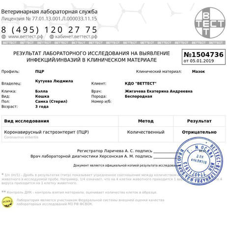 Фото Теста На Корону